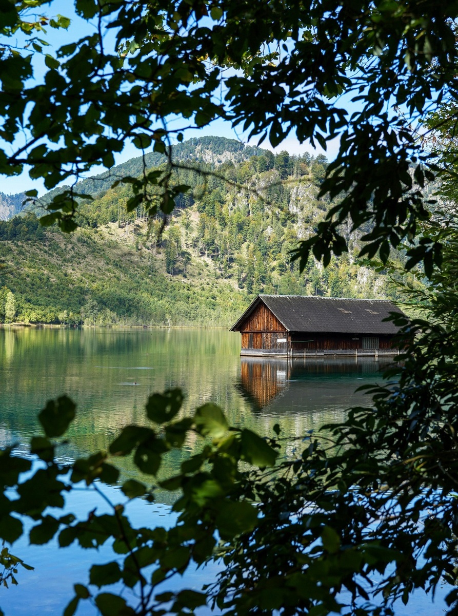 Tradície a jedlá Wigilii: Poľské Vianoce v plnej kráse