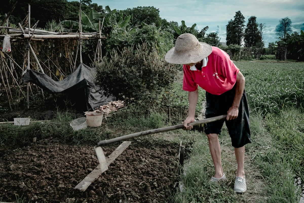 Dohoda pri predaji nehnuteľnosti: význam a právna istota