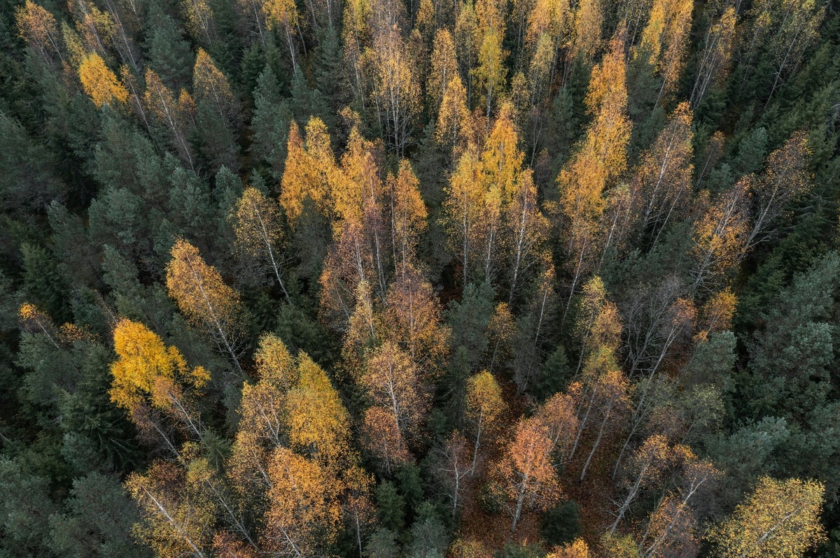 Plánovanie projektu: Ako správne zostaviť časový harmonogram a rozpočet