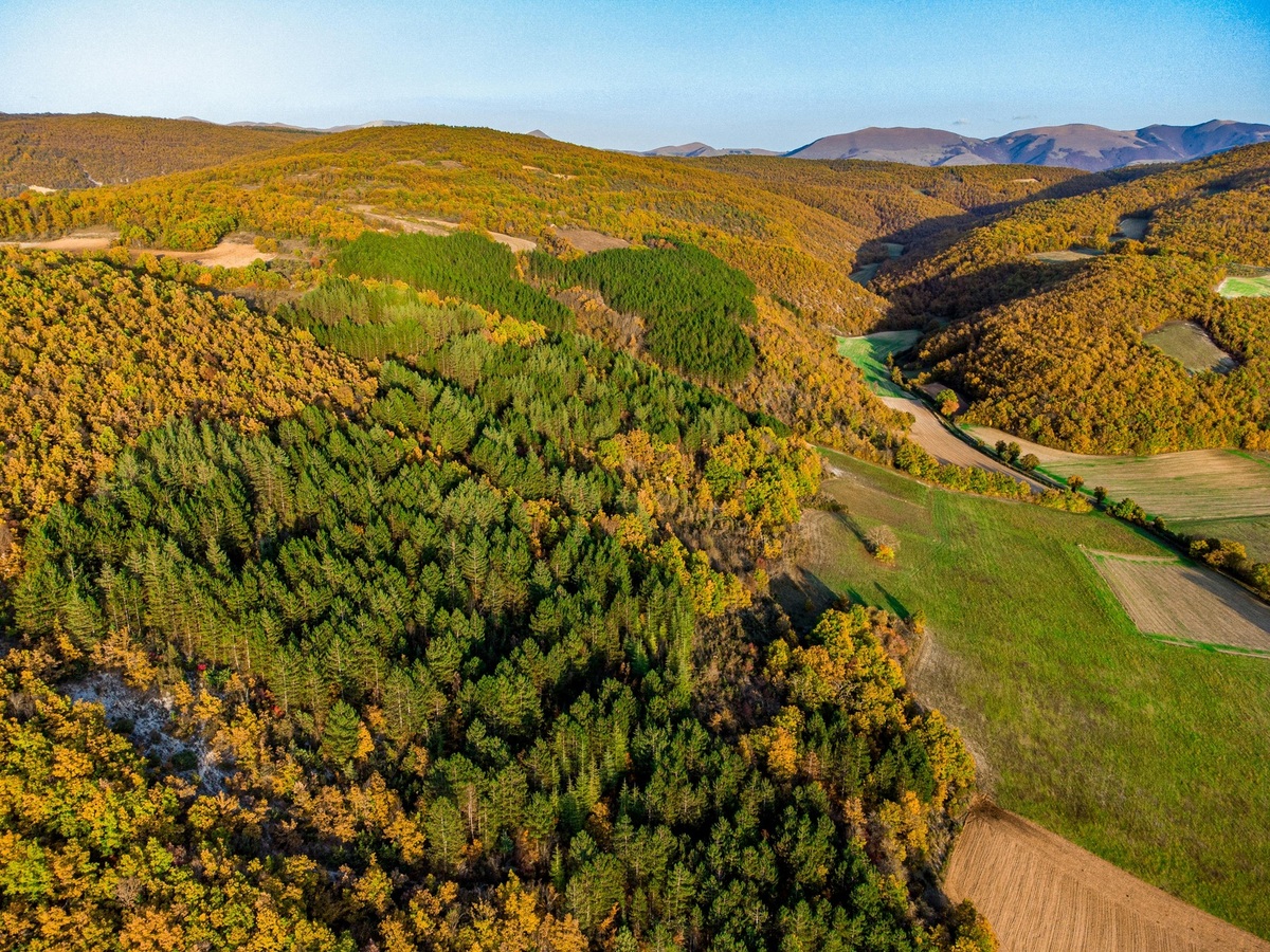 Odmeňovanie v službách podľa tržieb a NPS pre lepší výsledok
