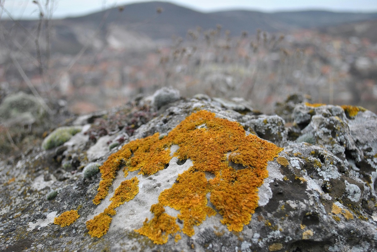 Ako zaviesť freemium model bez ohrozenia platených služieb